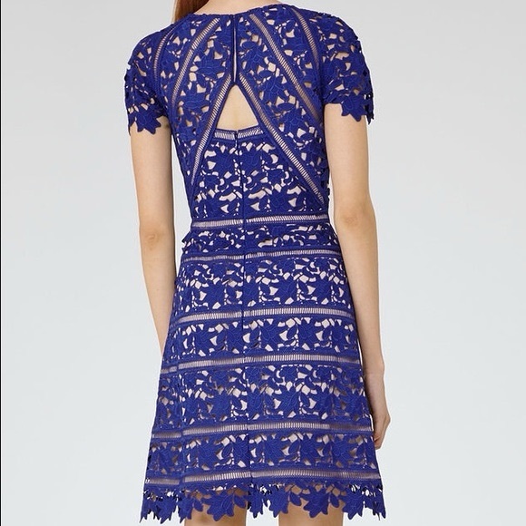 Reiss Orchid Lace Cocktail Dress in Sapphire - Picture 2 of 7
